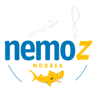 Nemoz Diving