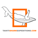 TAHITI SHARK EXP&Eacute;DITIONS