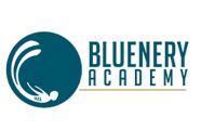 Bluenery Academy